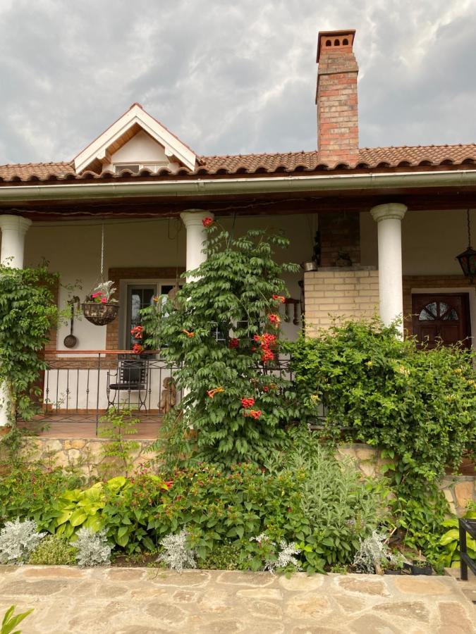 Country Club La Mesteceni Sebeş المظهر الخارجي الصورة
